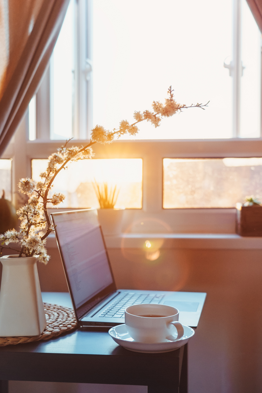 Sunrise light through a window over a desk with a laptop, blossoms, and a cup of tea